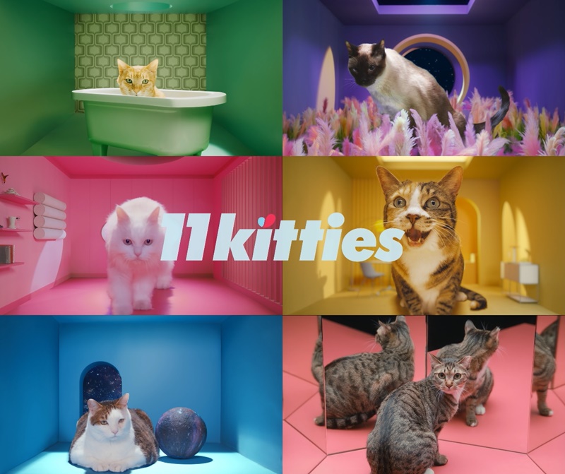 11번가가 ‘11키티즈(11kitties)’의 데뷔곡 ‘Take Me’와 뮤직비디오 영상을 공개했다. ‘11키티즈’는 동물자유연대에서 보호 중인 유기묘들로 구성된 프로젝트 아이돌 그룹으로 ‘2022 희망쇼핑 캠페인’의 모델이다. 